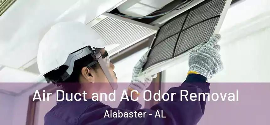  Air Duct and AC Odor Removal Alabaster - AL