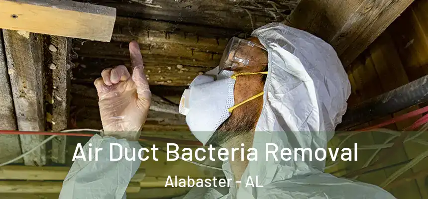 Air Duct Bacteria Removal Alabaster - AL