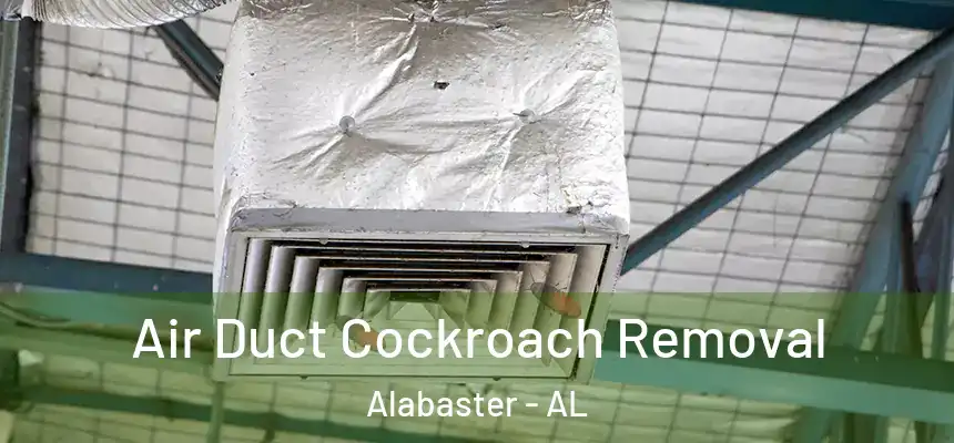  Air Duct Cockroach Removal Alabaster - AL