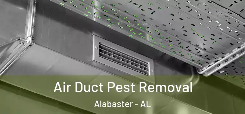  Air Duct Pest Removal Alabaster - AL