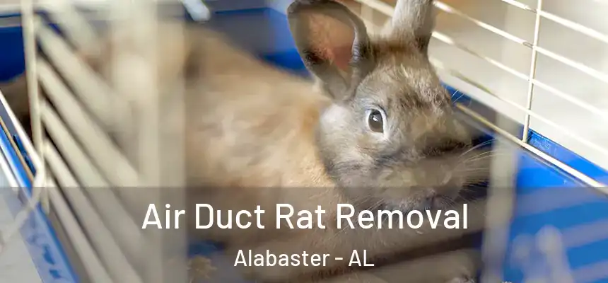  Air Duct Rat Removal Alabaster - AL