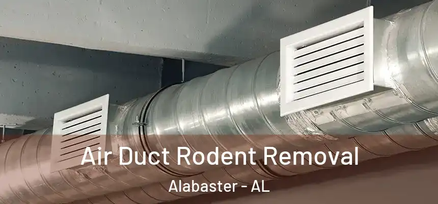 Air Duct Rodent Removal Alabaster - AL