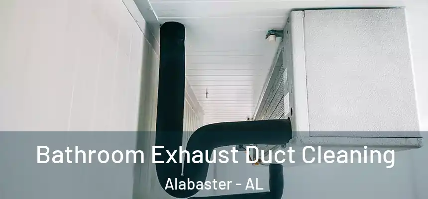  Bathroom Exhaust Duct Cleaning Alabaster - AL