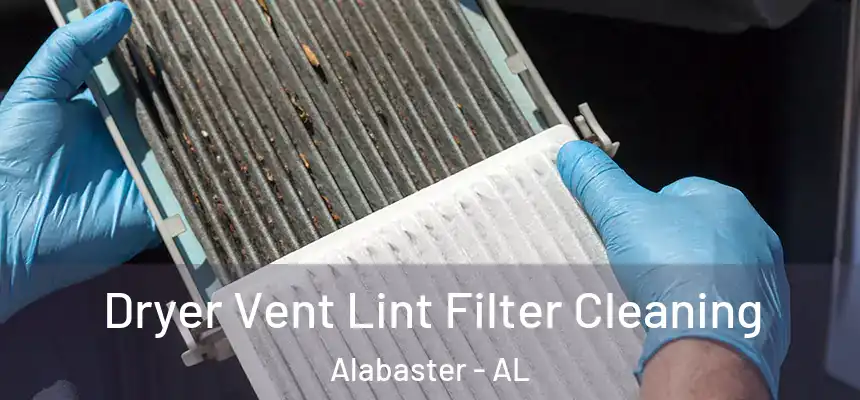 Dryer Vent Lint Filter Cleaning Alabaster - AL