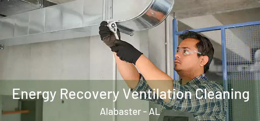 Energy Recovery Ventilation Cleaning Alabaster - AL
