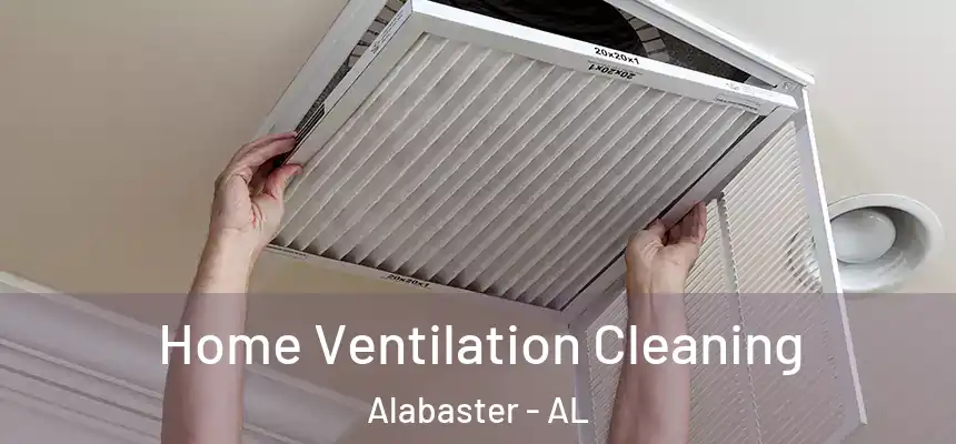 Home Ventilation Cleaning Alabaster - AL