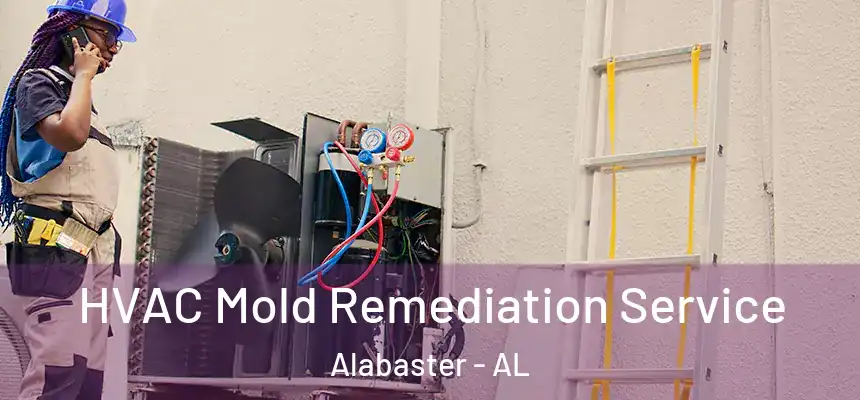 HVAC Mold Remediation Service Alabaster - AL
