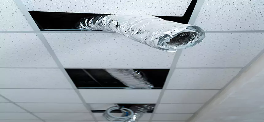 Affordable HVAC Sanitizing After Pest Removal in Alabaster