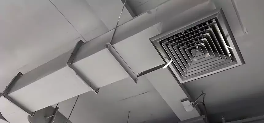 Restorative Allergy Relief Vent Cleaning – Coil, Blower & Housing Detail in Alabaster