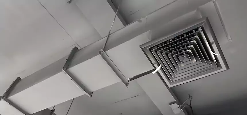 Our Rodent Droppings In Vents Services in Alabaster, AL