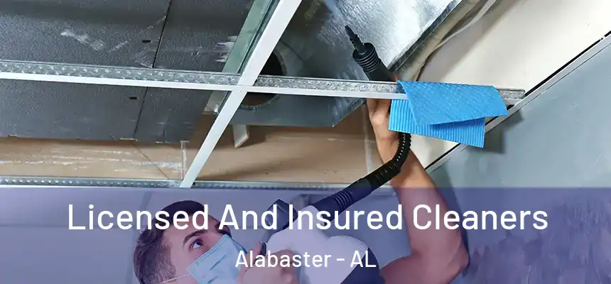  Licensed And Insured Cleaners Alabaster - AL