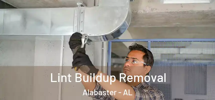 Lint Buildup Removal Alabaster - AL