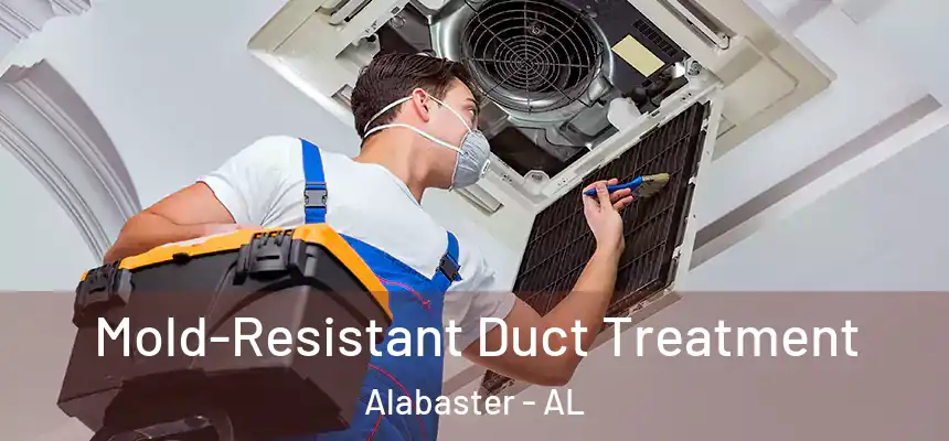 Mold-Resistant Duct Treatment Alabaster - AL