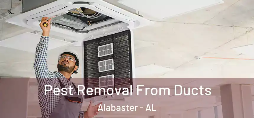 Pest Removal From Ducts Alabaster - AL