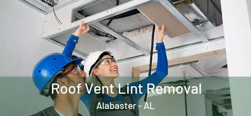 Roof Vent Lint Removal Alabaster - AL
