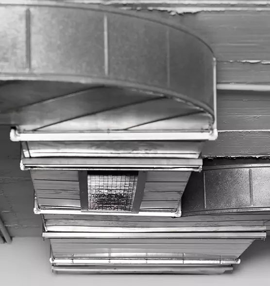 Professional Air Duct Pet Hair Removal in Alabaster, AL