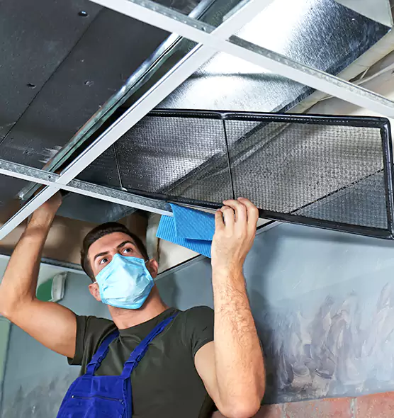 Professional Air Duct Pollen Cleaning in Alabaster, AL