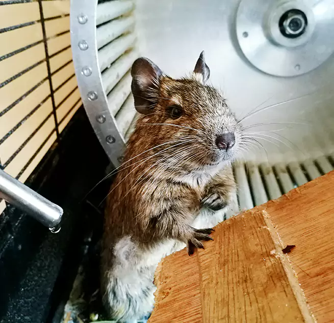 Why Homeowners & Businesses Trust Us Alabaster, AL