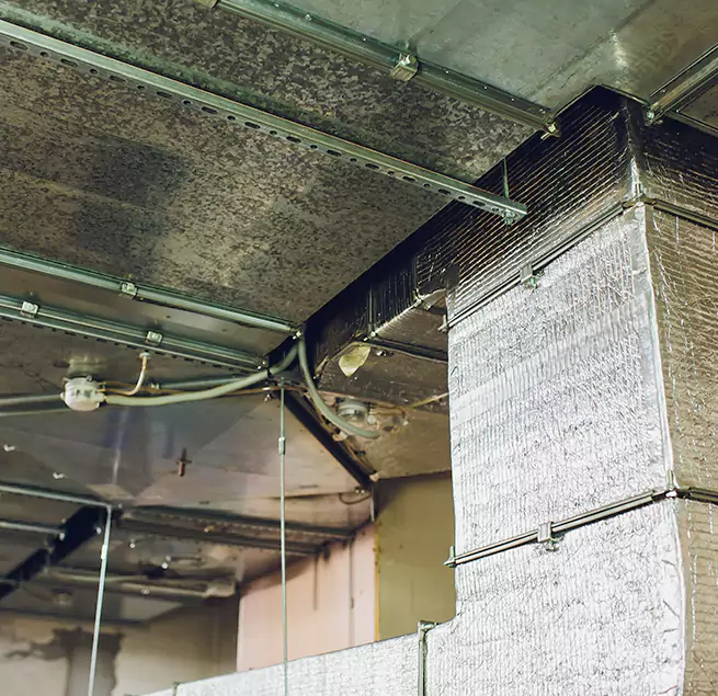 Why Homeowners & Businesses Trust Us in Alabaster, AL?